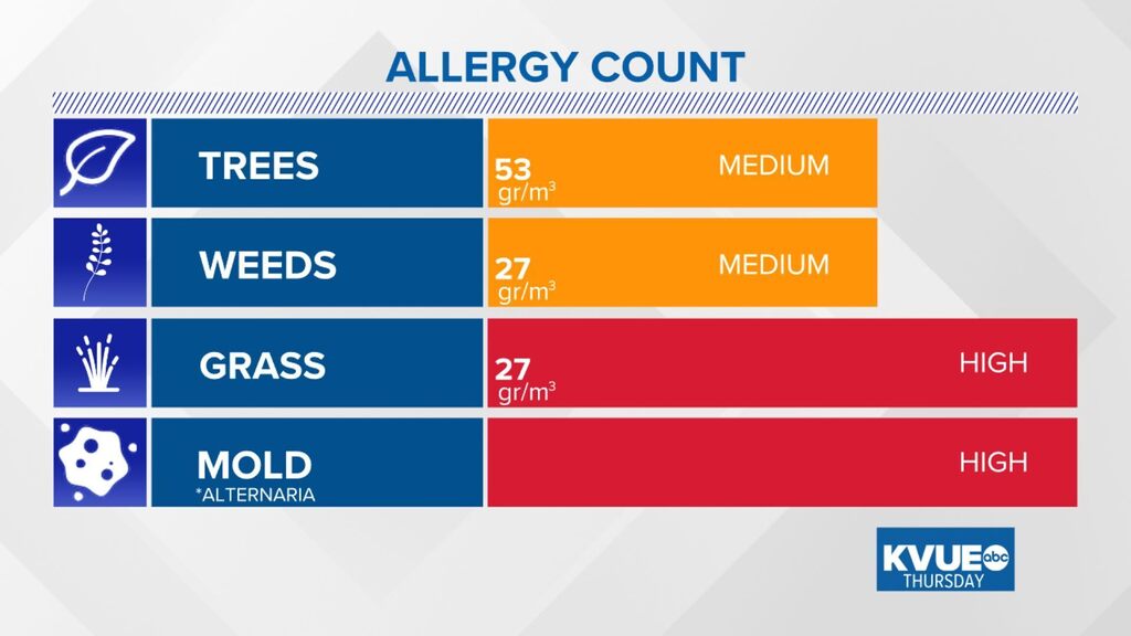 Austin Allergies tweet media