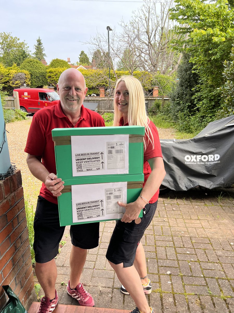 Bee delivery!
Two #nucs from <a href="/BlackMountHoney/">Black Mountain Honey</a> via <a href="/RoyalMail/">Royal Mail</a> and Kelly and Ian, THE BEST postie team ever

#beedelivery
#Hampton 
<a href="/theremaybebugs/">🌸🐝Annie Jenkins</a> 
#localhoney