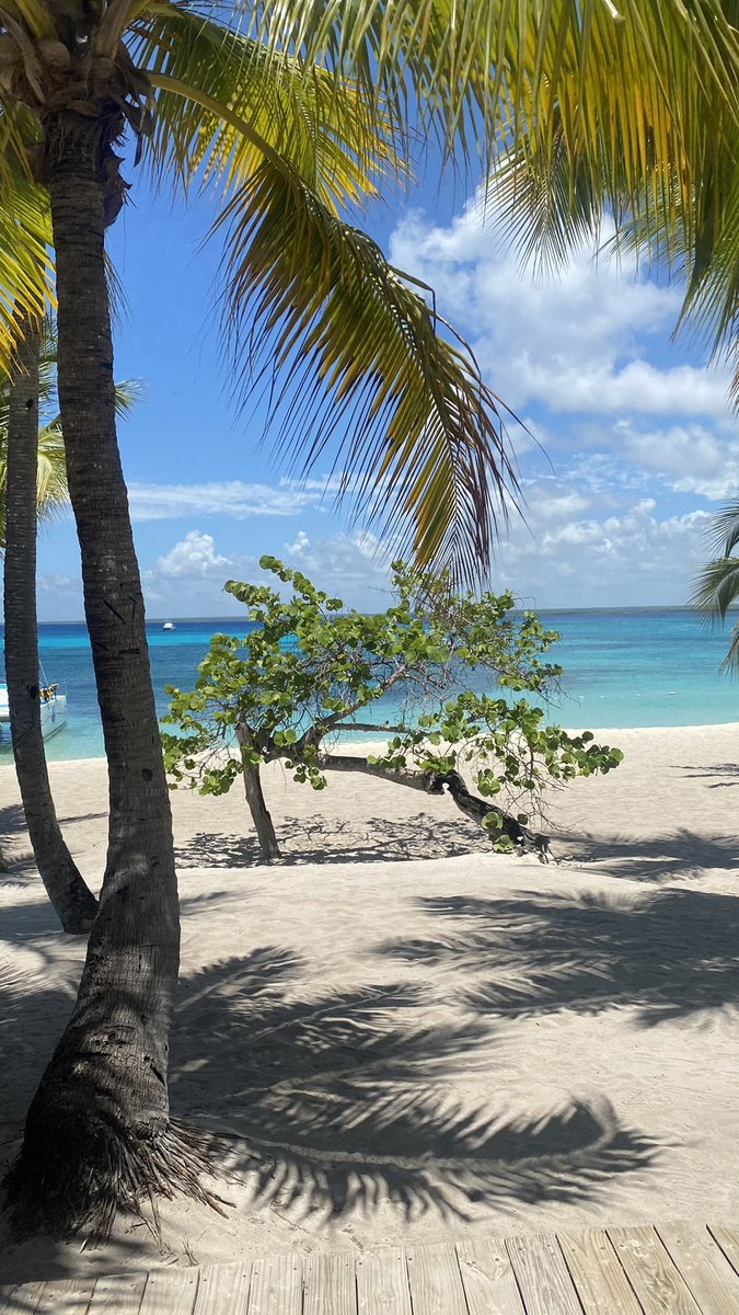 Drezyys's tweet image. Le voyage est la chose qu’on achète et qui nous rends plus riche 😌