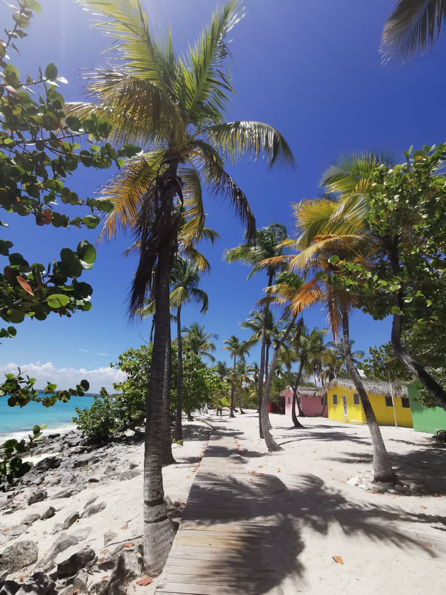 Drezyys's tweet image. Le voyage est la chose qu’on achète et qui nous rends plus riche 😌