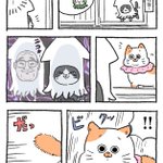 「ねこ転」その103が公開!プンちゃんの新衣装を見たてぷちゃんの反応は…？