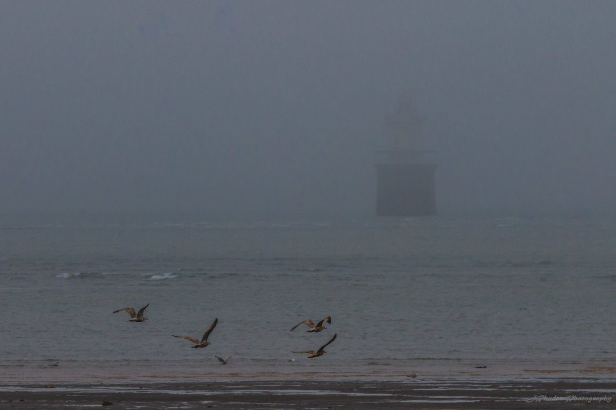 JRhodes1776's tweet photo. #LubecChannelLighthouse, #LubecChannel, #LubecMaine.
Fog anyone? https://t.co/nrZlOWutbH