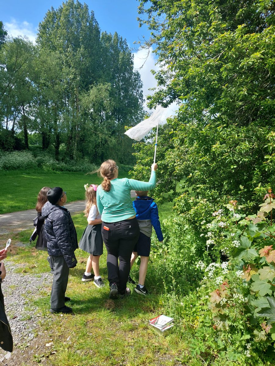 The students in 1st and 2nd class took part in a bio-diversity workshop sponsored by Glenveagh. The workshop started in the classroom but then moved out to Rivervalley park for some hands on investigating! 🪲🌱 #biodiversityinschools