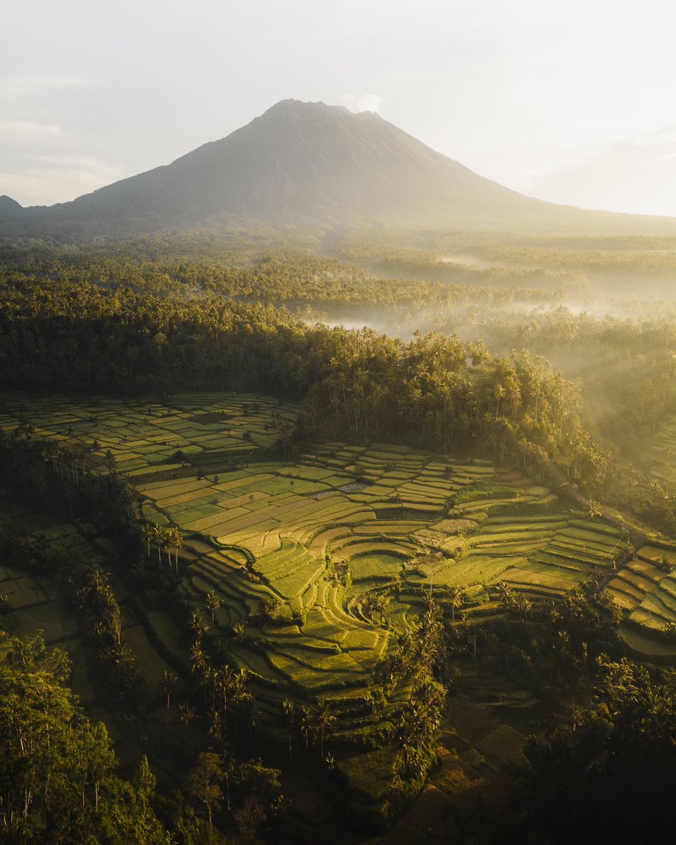 Cam Stables tweet media