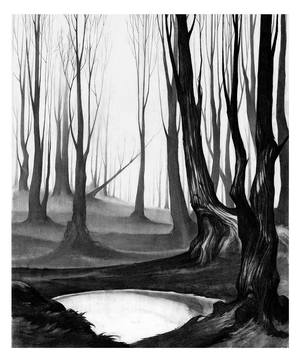 #animation #animationmovie #animatiomovies #backgrounddesign #bakgroundlayout #background #pencildrawing #pencilart #pencil #traditionalart #wood #woods #Autumn