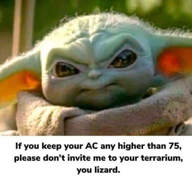 MorganPhiloso's tweet photo. This is me when I am in Florida 🤣🤣 https://t.co/Yv7nNsEsKb