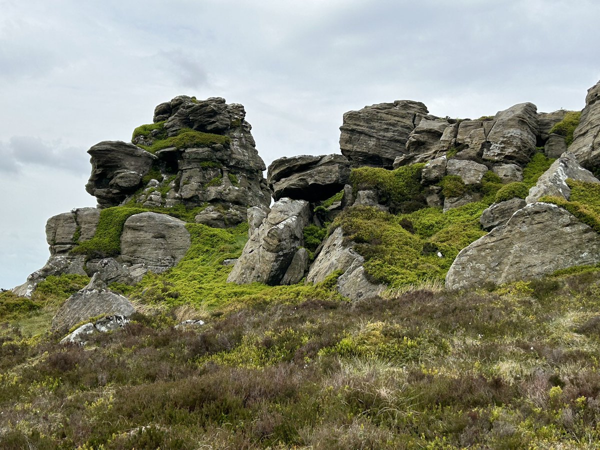 Northlakesuk's tweet photo. Todays wanderings in a far flung area of Cumberland a walk through Kershope forest to the top of Christianbury Crag a bit of a bog trot to the top after easy forest roads a good 10 miles with outstanding views back towards the Pennines & Carlisle👍 #christianburycrag #bewcastle https://t.co/qqxwoo5Hlq