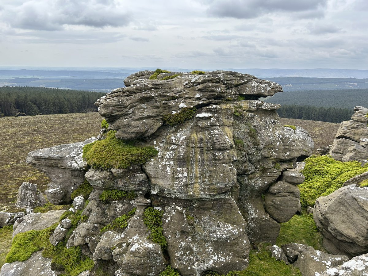 Northlakesuk's tweet photo. Todays wanderings in a far flung area of Cumberland a walk through Kershope forest to the top of Christianbury Crag a bit of a bog trot to the top after easy forest roads a good 10 miles with outstanding views back towards the Pennines & Carlisle👍 #christianburycrag #bewcastle https://t.co/qqxwoo5Hlq