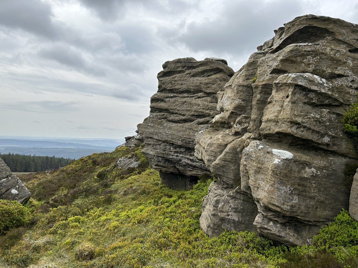 Northlakesuk's tweet photo. Todays wanderings in a far flung area of Cumberland a walk through Kershope forest to the top of Christianbury Crag a bit of a bog trot to the top after easy forest roads a good 10 miles with outstanding views back towards the Pennines & Carlisle👍 #christianburycrag #bewcastle https://t.co/qqxwoo5Hlq