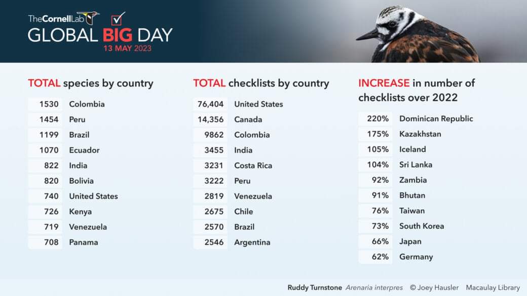 Resultados Global Big Day 2023 ❤️🇨🇴

ebird.org/news/inspiring…