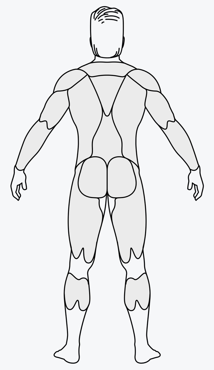 Anasayfadaki insan vücudunda istediğiniz kasa tıklıyorsunuz ve size o kas grubu için yapabileceğiniz tüm egzersizleri resimli olarak gösteriyor.

musclewiki.org