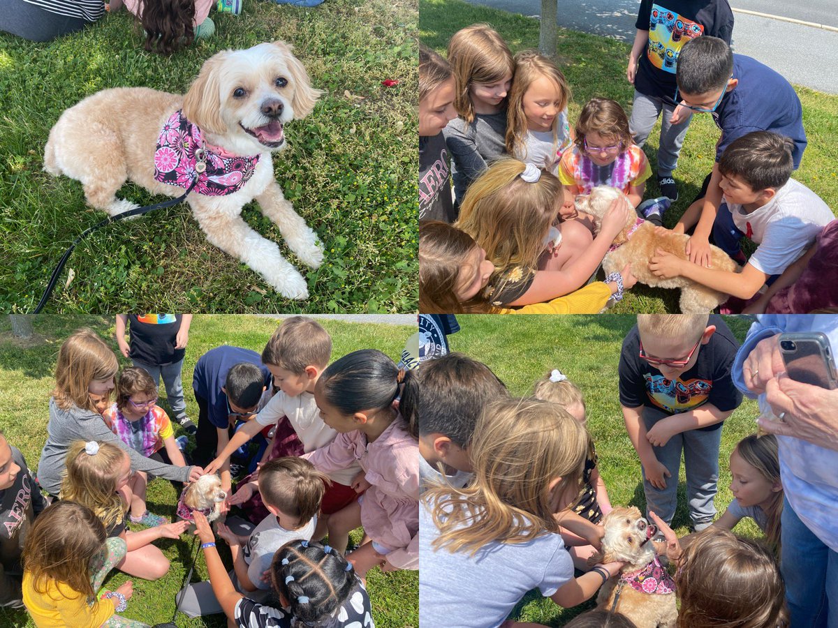 Lauren Evans tweet media