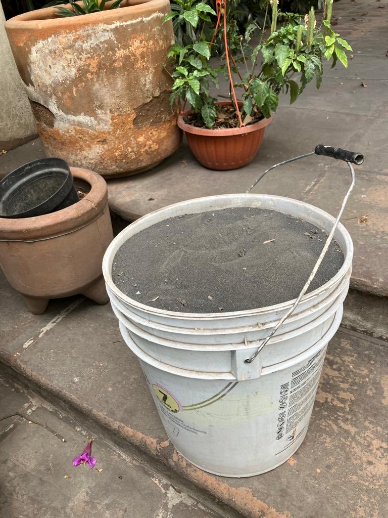 Ángeles Mastretta on Twitter "Mónica barrió su patio y miren ustedes