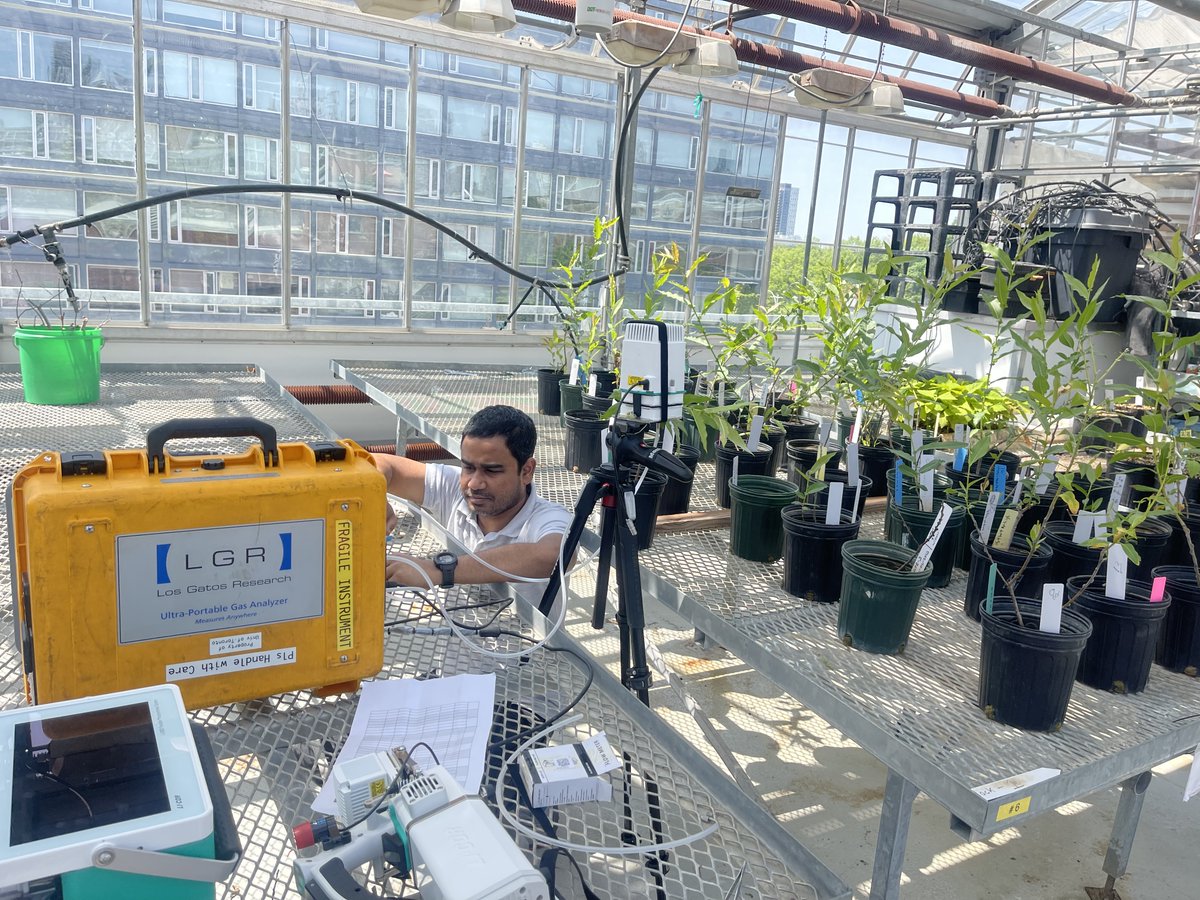Just tested the performance of the <a href="/CredoSense19/">CredoSense Inc</a>  Leaf Chamber CS-LC7000 for leaf gas exchange measurements. It's compatible with any analyzer and delivers reliable results. Excited about the low-cost option for plant physiology! 🌿🔬 #Credosense #LeafChamber #OpenScience