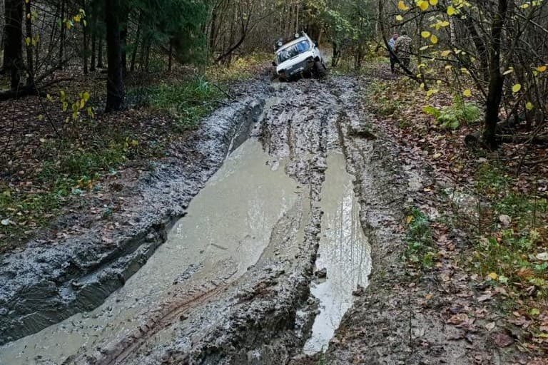 Татьяна 2.0 🌹🌲 tweet media