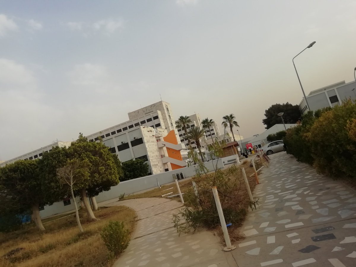 ريسبا  روتا