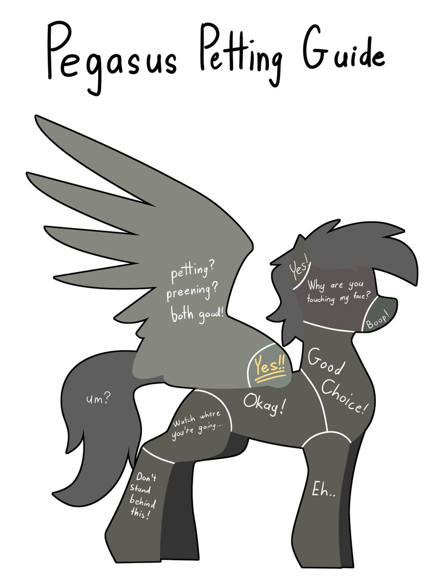 please refer to this before petting your pegasi