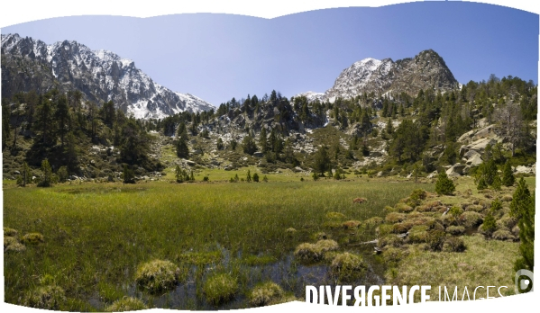 Sècheresse....a la source ! #photo  © Georges BARTOLI