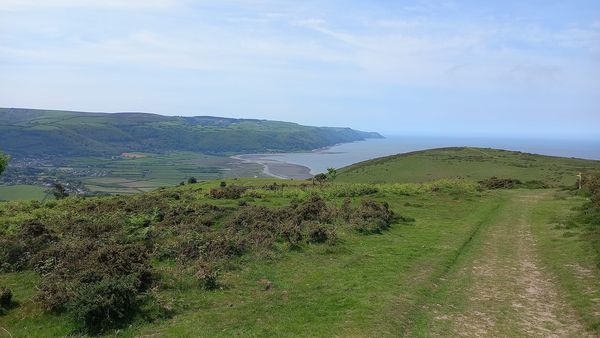 Rachel Goodfellow tweet media