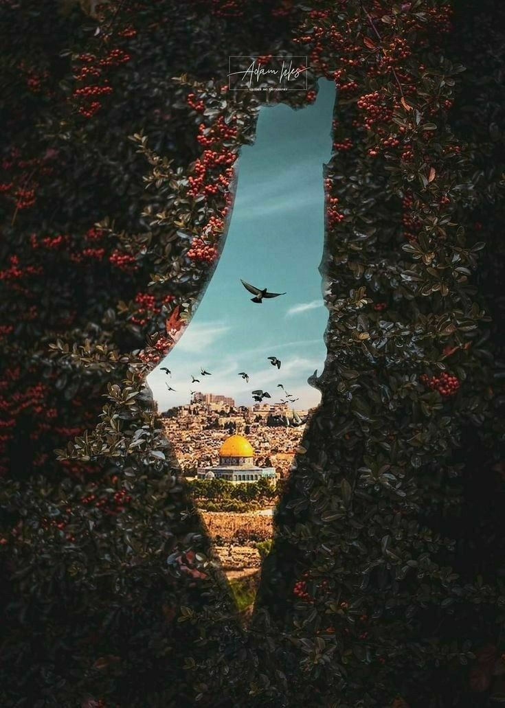 LShubeir's tweet photo. اقدس واحب مكان الي قلبي.. https://t.co/UwtPghPjTw