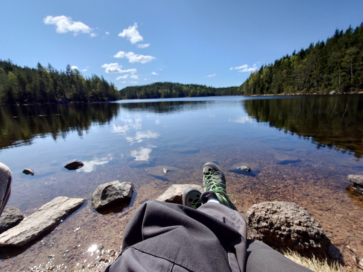 Sven_Egil's tweet photo. Stille og rolig i skogen 17mai 😎 https://t.co/T5iqfl1exG