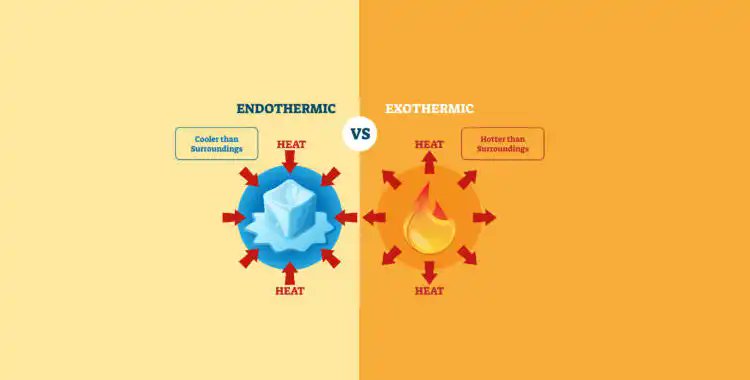 DigiPradesh's tweet image. What does one mean by exothermic and endothermic reactions? Give examples

See: bit.ly/3jb3Rx0

#ThursdayMotivation #ISRGKB #Biochemistry #Chemicalreactions #Endothermic #Exothermic #Photosynthesis #Thermodynamics
