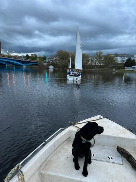 RegattaPoint's tweet photo. Ever been taught how to sail by a dog? His advice comes in handy when the wind is really RUFF! #regattapointcommunitysailing #dog #sail https://t.co/DP4C1v7qAA