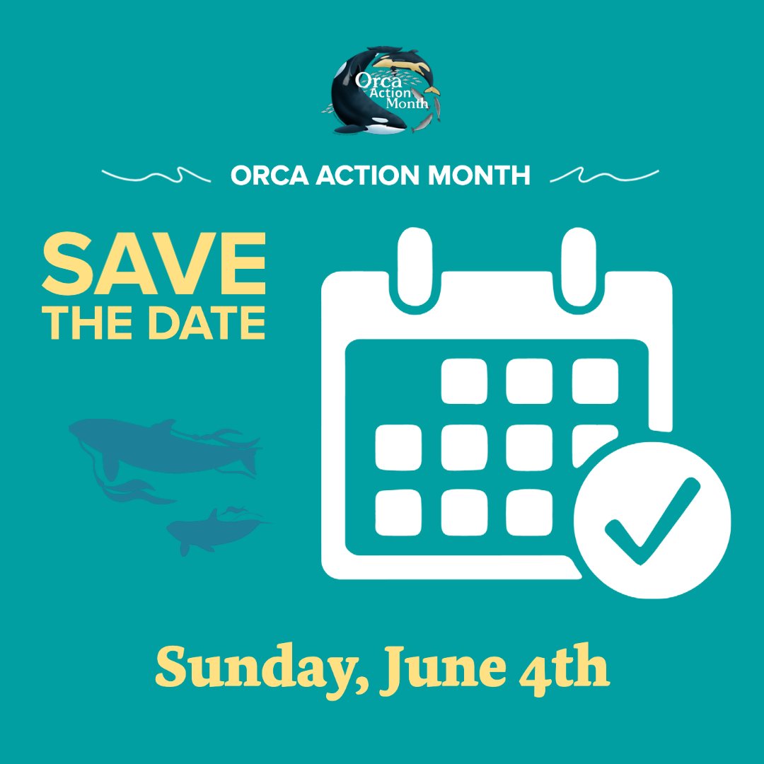 June is Orca Action Month!

Save the date for the kickoff event on June 4! Join us for an in-person event near you or virtually!

Check out the schedule and activities happening throughout the month: orcamonth.com 

#OrcaMonth #OrcaActionMonth