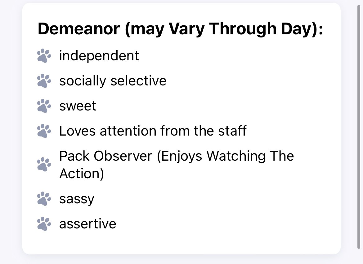 Lmao my guy HATES other dogs