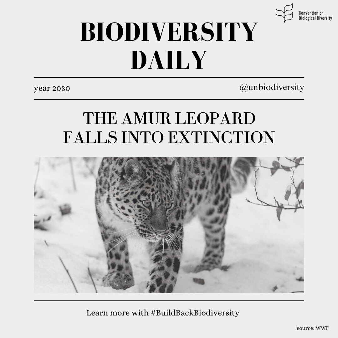 Headlines like this will be in the news if we don't #BuildBackBiodiversity 🌿. Scary stuff huh!? It took you guys millions of years to regain biodiversity after the asteroid hit, so really, 2050 isnt that far away! #DontChooseExtinction