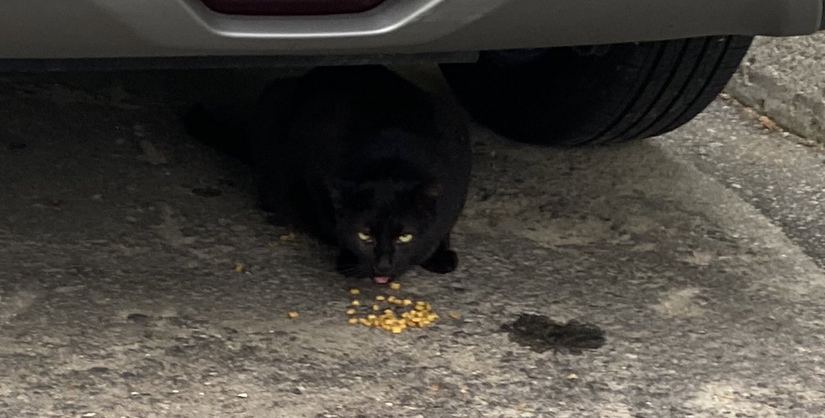 hsmw6 (@hsmw66) on Twitter photo 