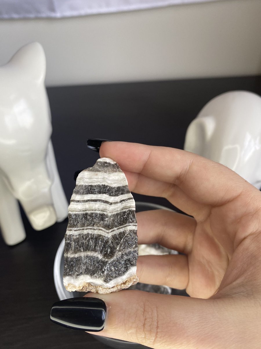 KassiesPlanting's tweet photo. Zebra Calcite Properties:
✨Increase motivation &amp; willpower
✨Promotes stability &amp; peace
✨Brings prosperity 
✨Helps overcome fear &amp; doubt
✨Encourages is to remain positive 
✨Teaches patience 

#zebracalcite #crystal✨ #crystalsforsale #crystalshop #crystal #crystals https://t.co/fShzPdT9qc