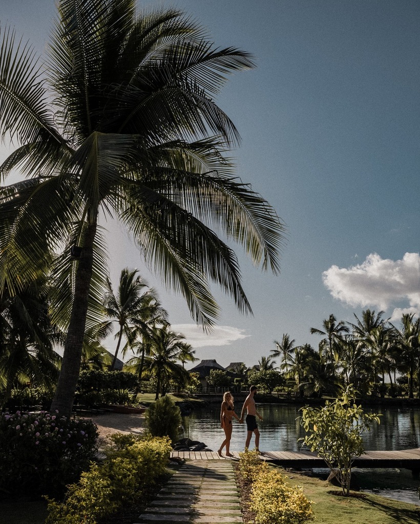 Pacific Beachcomber tweet media