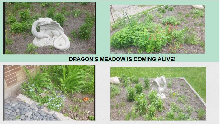 Mrs_S_Sullivan's tweet photo. It is starting to GROW! https://t.co/eoaMqNOWpC