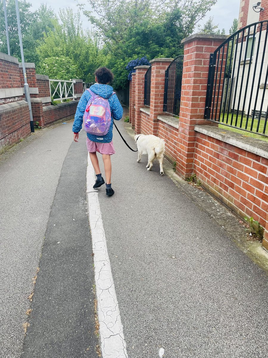 OurAdventures10's tweet photo. We have loved #WalkToSchoolWeek We managed 3 days and even made it to school on time today! It’s been great to slow down, chat to each other, and notice more around us as we’ve walked. Holly has loved a long morning walk, and has enjoyed finding lots of sticks to carry as well. https://t.co/WG40FDitxa