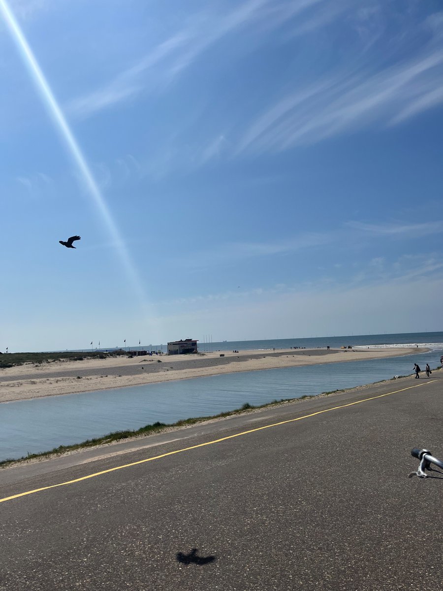 Liesbeth gym era tweet media