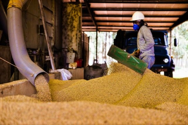 biodieselbr's tweet photo. Abiove aumenta projeções para colheita e processamento de soja https://t.co/tD7rQ1glyn https://t.co/MFLtb5dhp6
