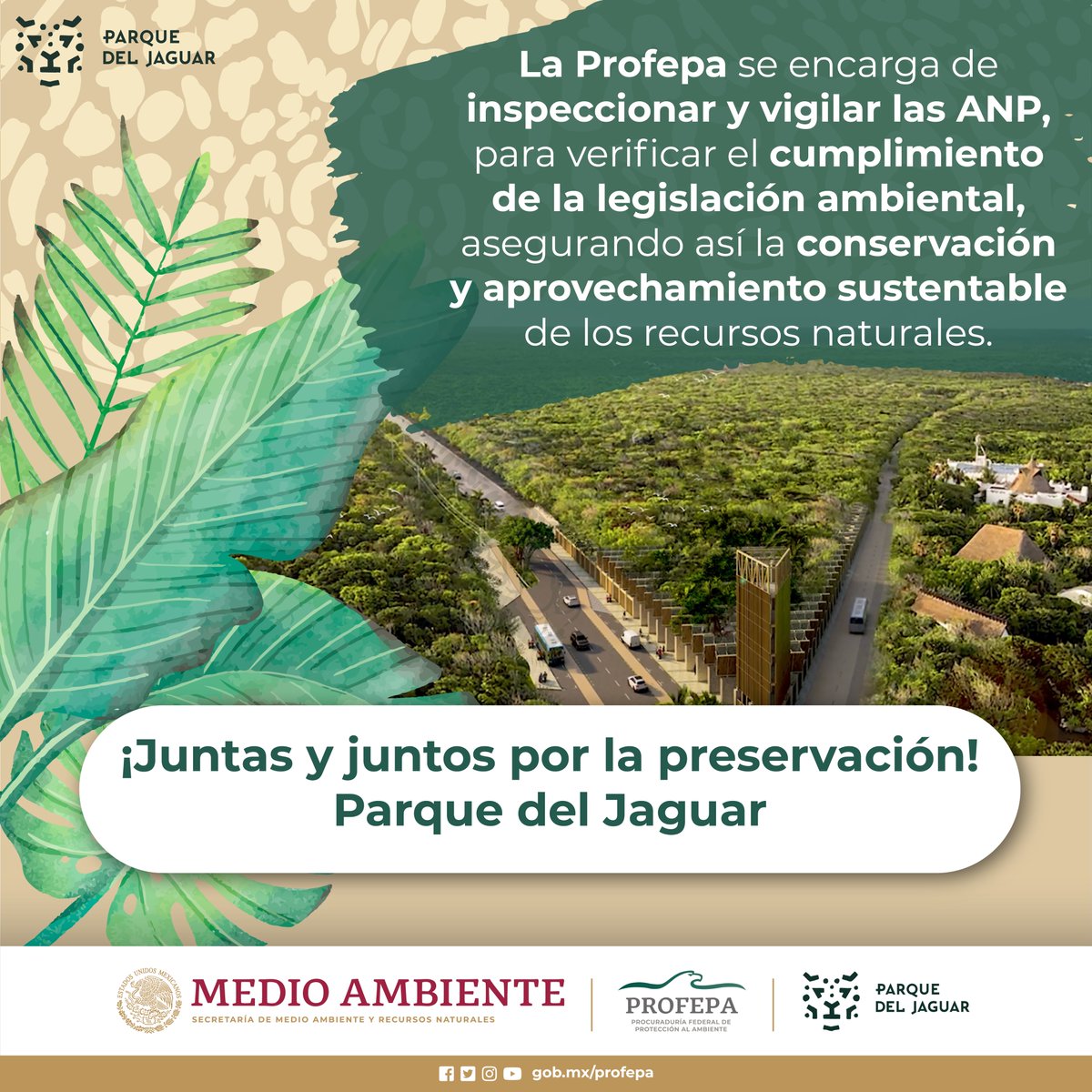 🌿🦜 La @PROFEPA_Mx está comprometida con la #ProtecciónAmbiental y la conservación de las especies que habitan en el #ParqueDelJaguar. 

¡Juntos lograremos un futuro más sustentable! 🌳🐆🦜