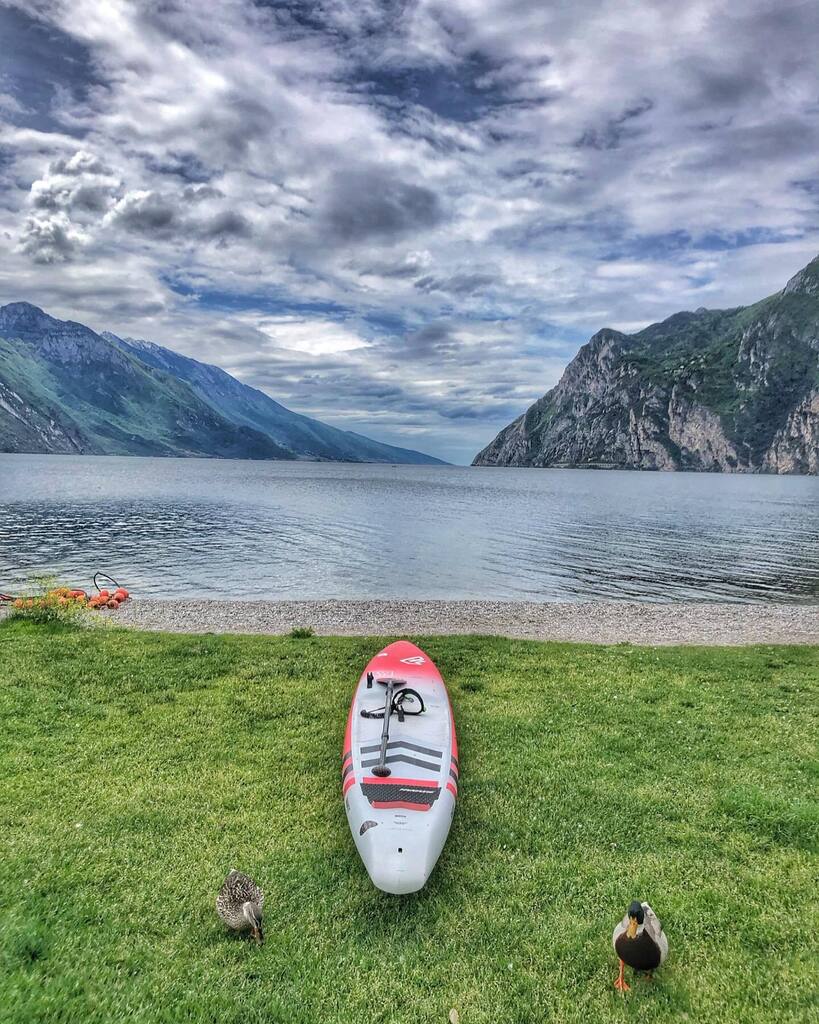 NicolaVolani's tweet photo. 🌧️Uscita con paperelle annesse 🌧️
#standuppaddle #sup #paddleboarding #suptraining #lagodigarda #fitnessmotivation #standuppaddleboarding #standuppaddleboard #standuppaddling #surf #goals #suprace #stand_up_paddle #rivadelgarda #fanaticsup #skateboard … https://t.co/QuELnsPMPf https://t.co/bI6REKIkDo