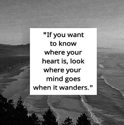 Gina Monaco 🌻 (@theginamonaco) on Twitter photo 