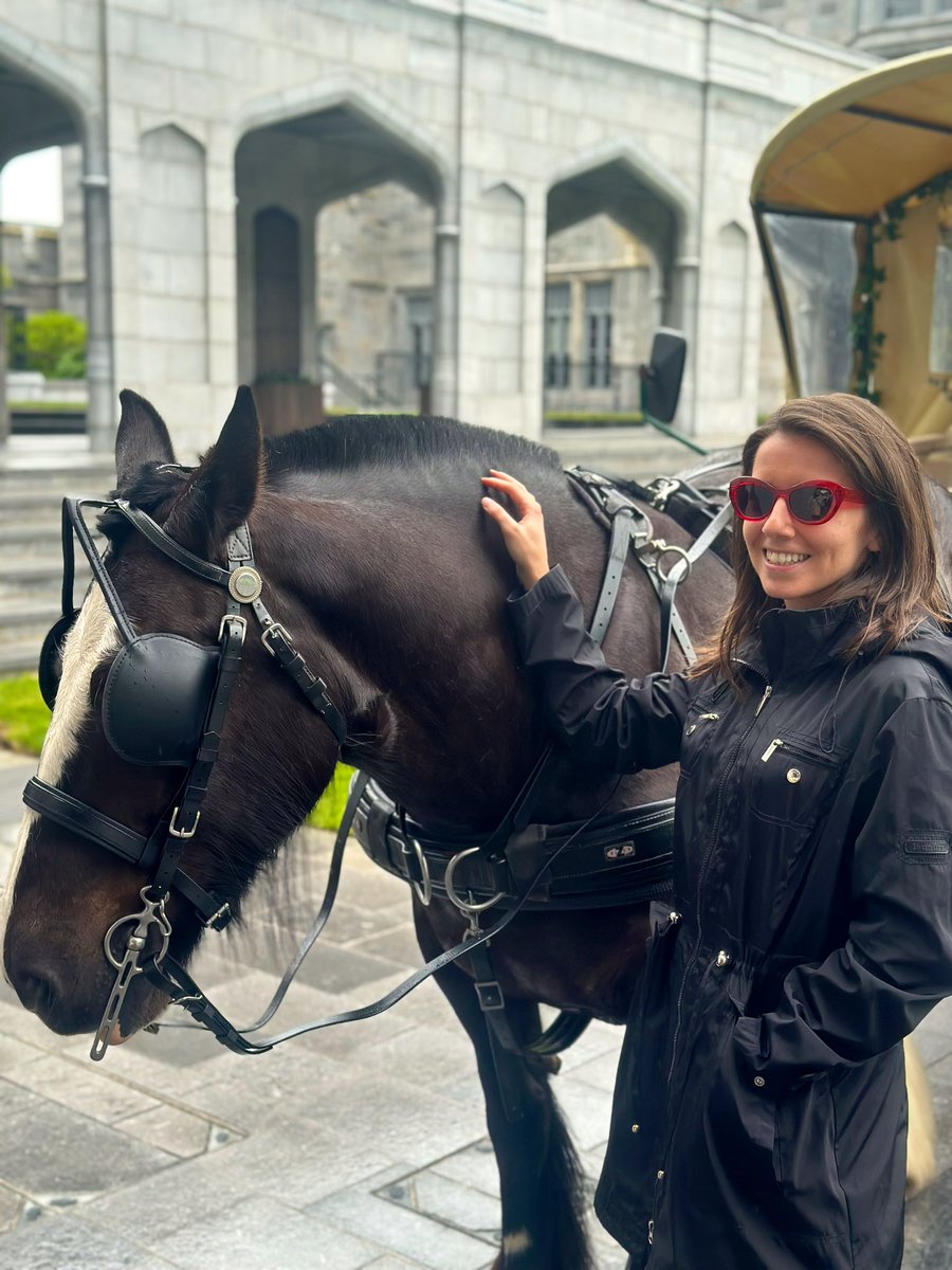 kgreifeld's tweet photo. touch horse https://t.co/1Mq50JKSg0