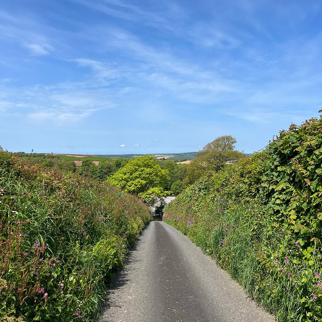 Another beautiful day here at the Pitched office ✔️