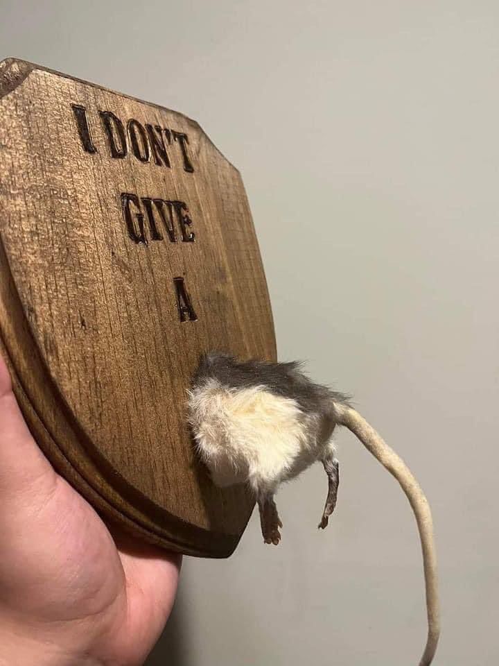 MR$ DA$ANI🫦 (@kaimooodz) on Twitter photo 