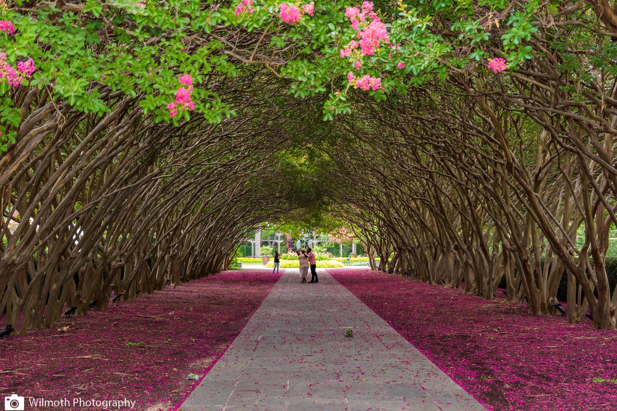 Chris Koerner tweet media