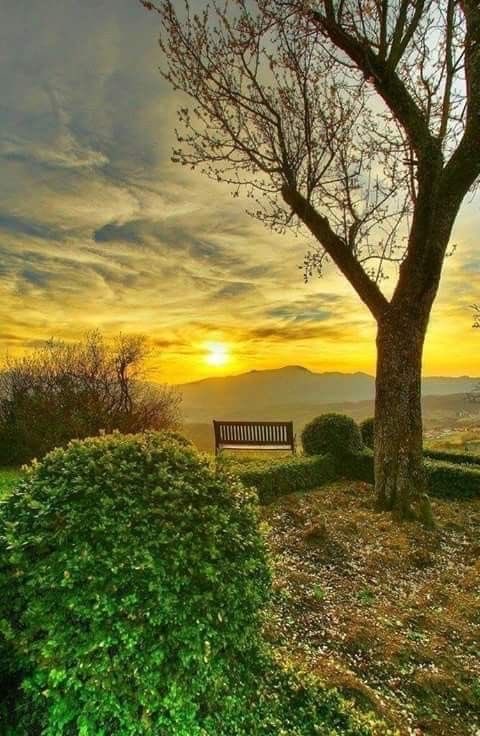 KatanaHugo's tweet photo. Good evening my friends!
#photos #photography #evening #sunset https://t.co/uL5q10lZxB