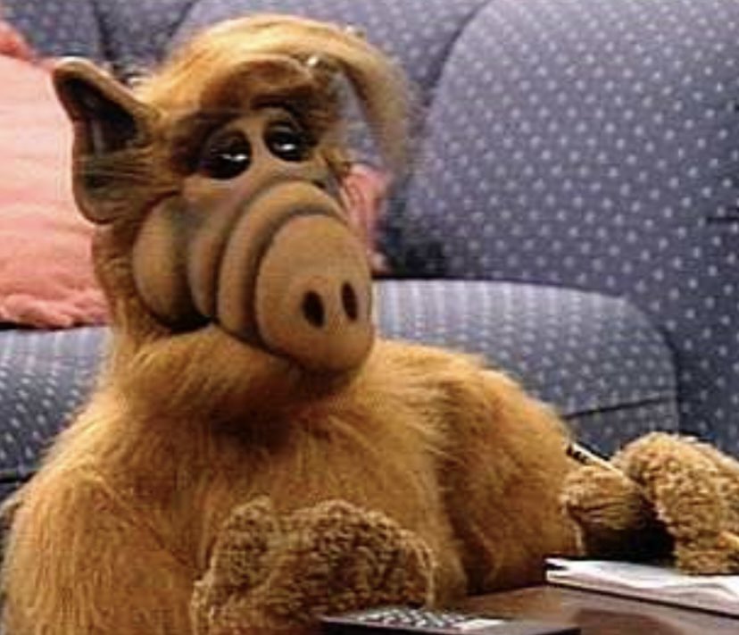 Who Enjoyed Watching the 1986-1990
TV Show “Alf?”

#Alf #Aliens #TV