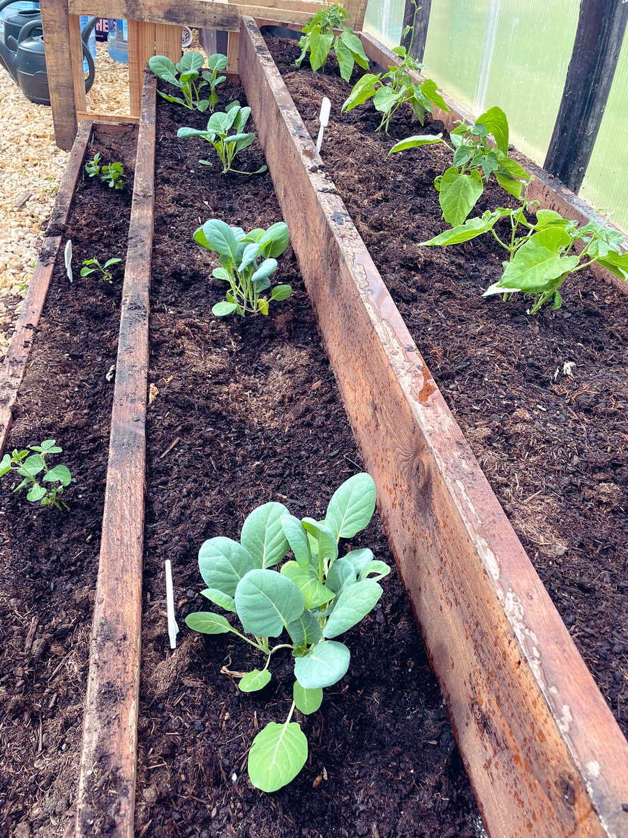 Miss Kelly tweet media