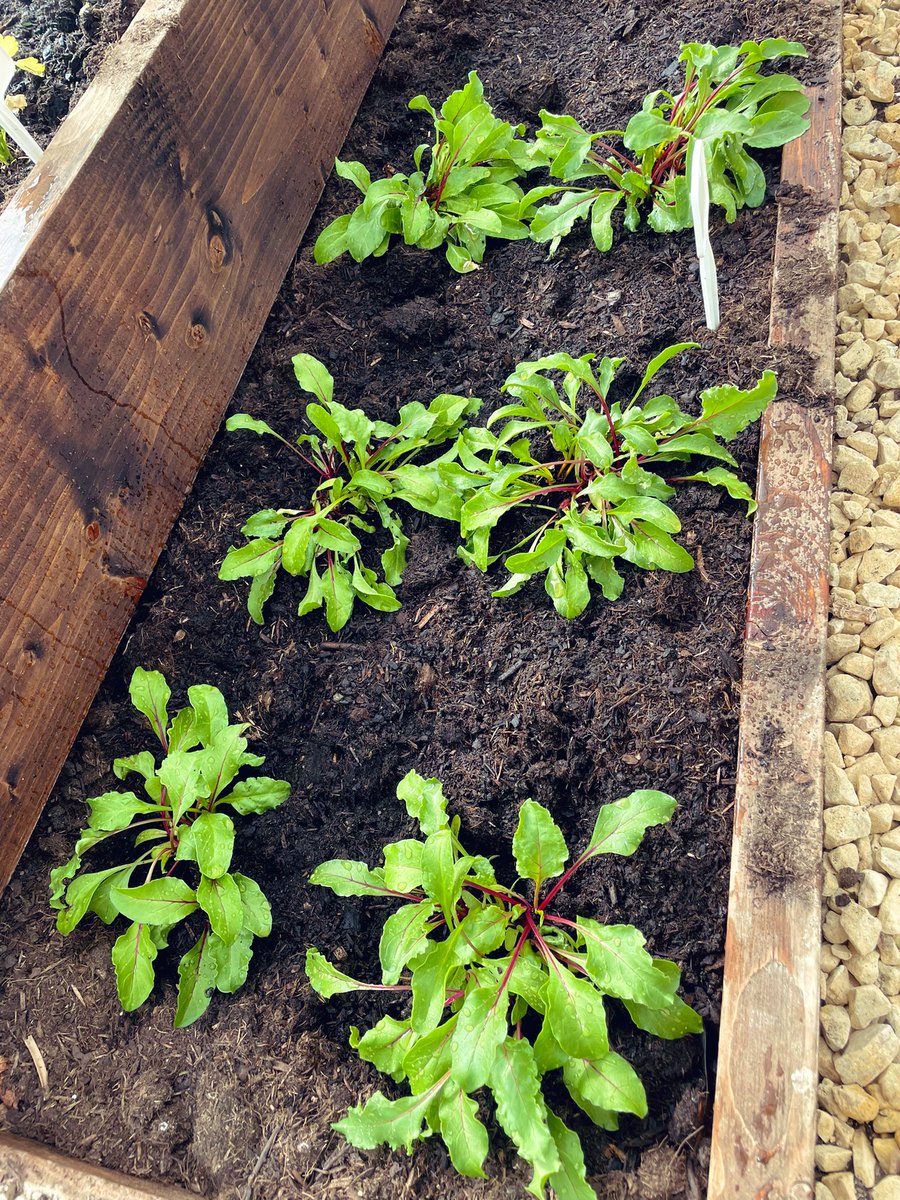 Miss Kelly tweet media