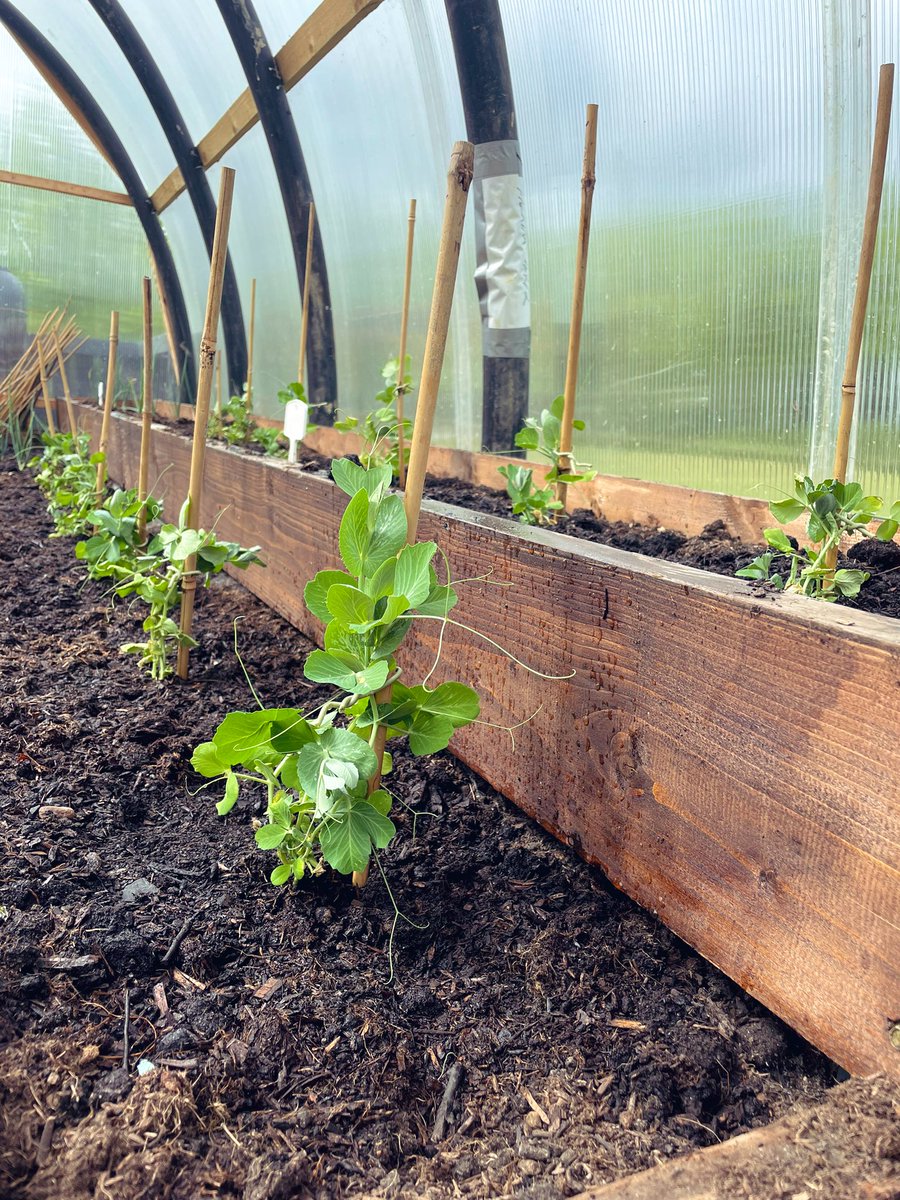 Miss Kelly tweet media