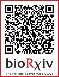 immunoimaging's tweet photo. Dear all, the first preprint from our lab is just out in bioRxiv! Lots of mechanistic insights on Treg response to PD-1 immunotherapy and  ideas to target it with drugs! https://t.co/TOCILBc4Fx https://t.co/Z6zvdP61tH